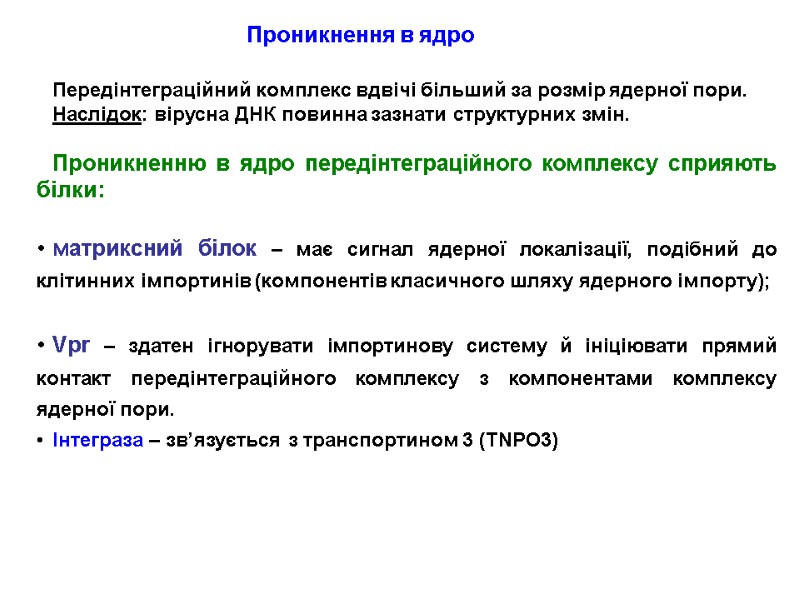 Проникнення в ядро Передінтеграційний комплекс вдвічі більший за розмір ядерної пори.  Наслідок: вірусна